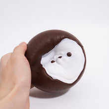 Coconut baby seal