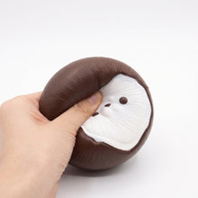 Coconut baby seal
